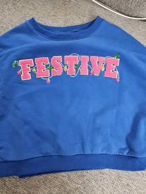 Blue 'FESTIVE' Embroidered Sweatshirt